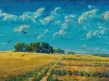 CAMPO_50X100